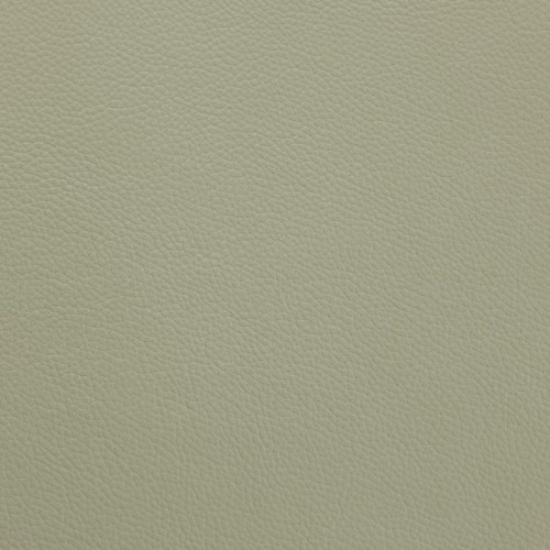 Shelly Thyme Green